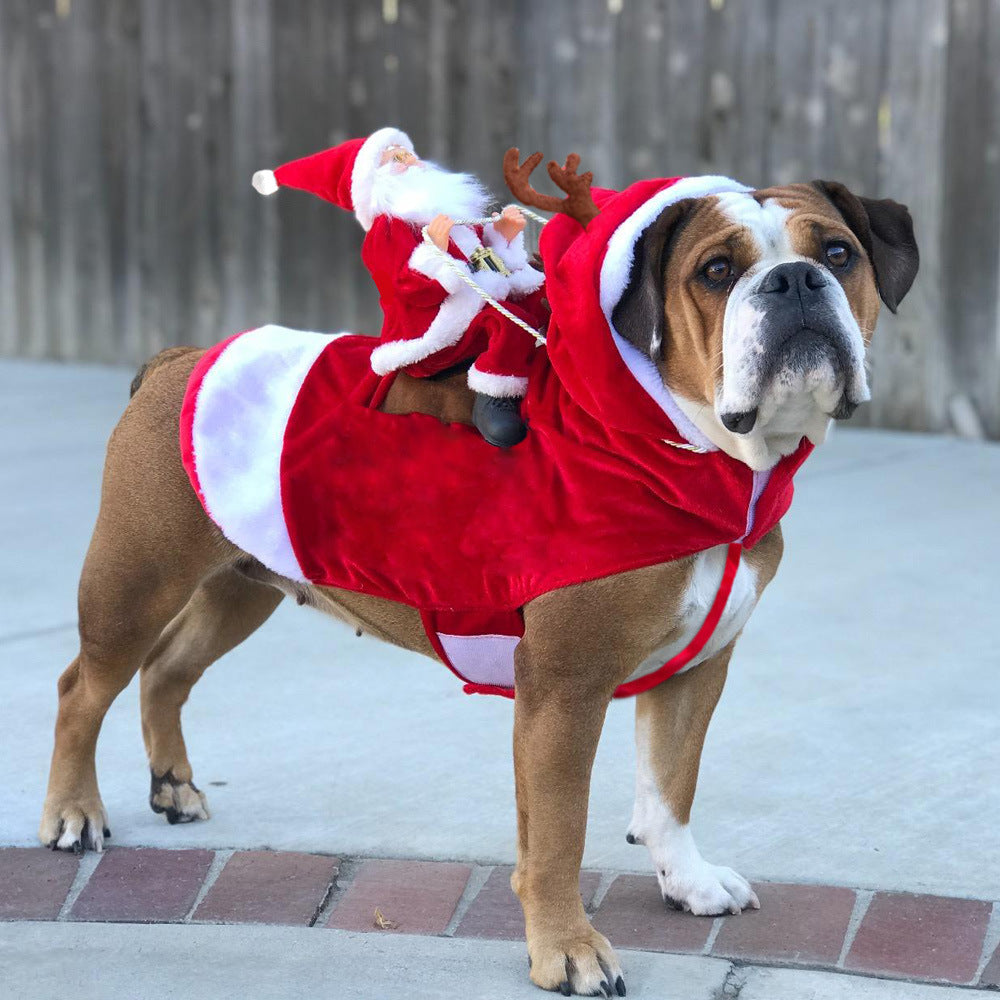 Bulldog wearing a red Santa rider costume with a toy Santa on its back