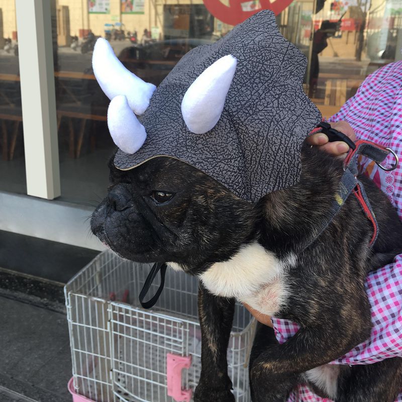 Dinosaur Hat for Dogs and Cats, view 5