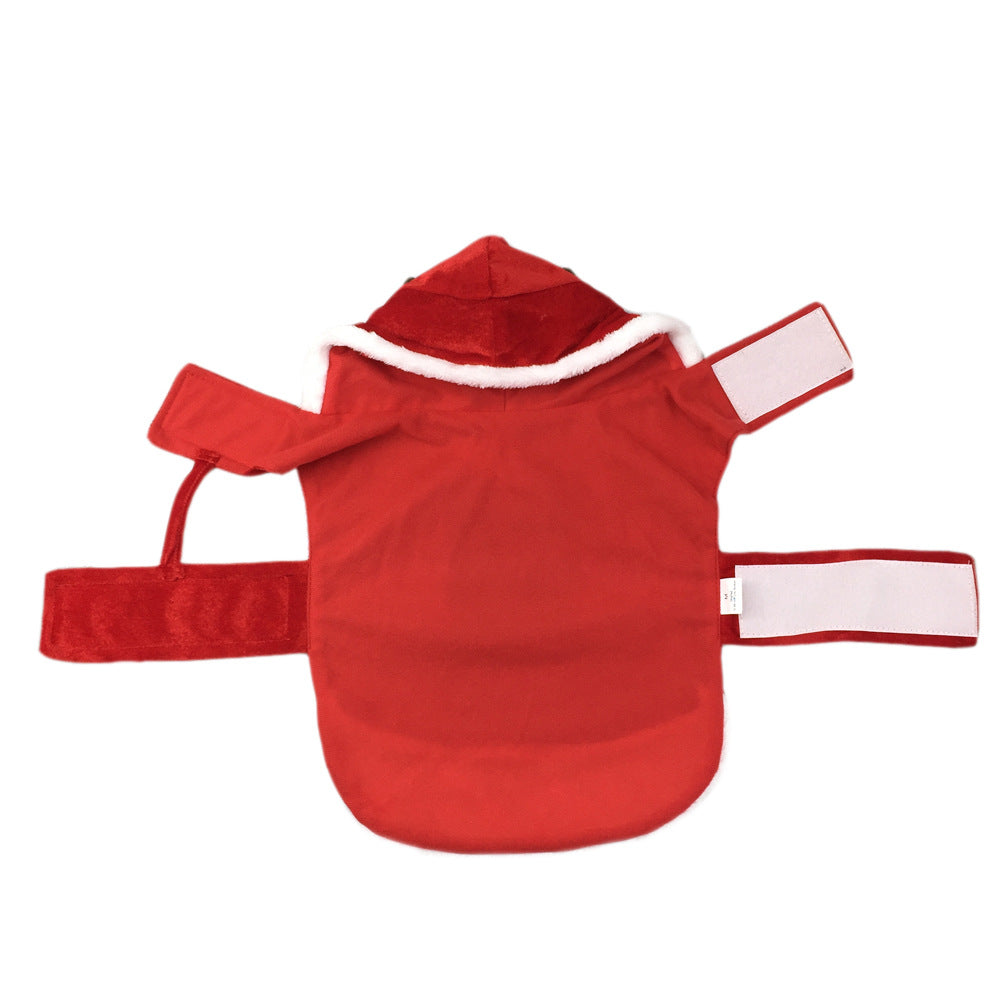 Bulldog wearing a red Santa rider costume with a toy Santa on its back