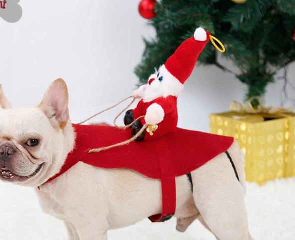 Bulldog wearing a red Santa rider costume with a toy Santa on its back