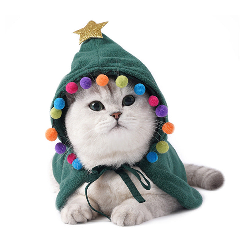 Cat wearing a green Christmas tree cape with pompoms and a star