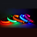Light-up LED dog collar - photo 1