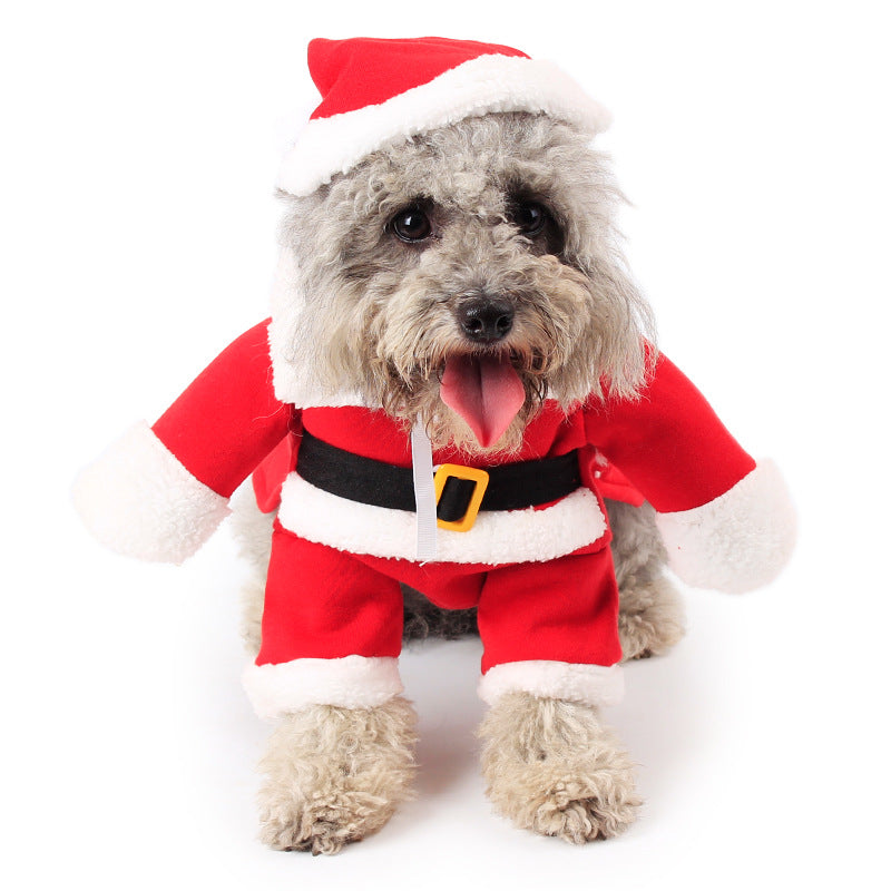 Small dog wearing a red Santa suit with hat