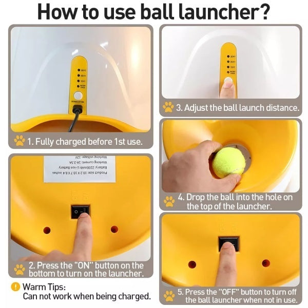 Automatic dog ball launcher for small and medium dogs