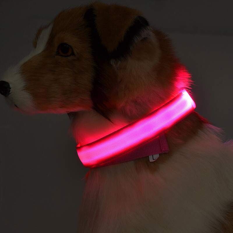 Light-up LED dog collar - photo 2