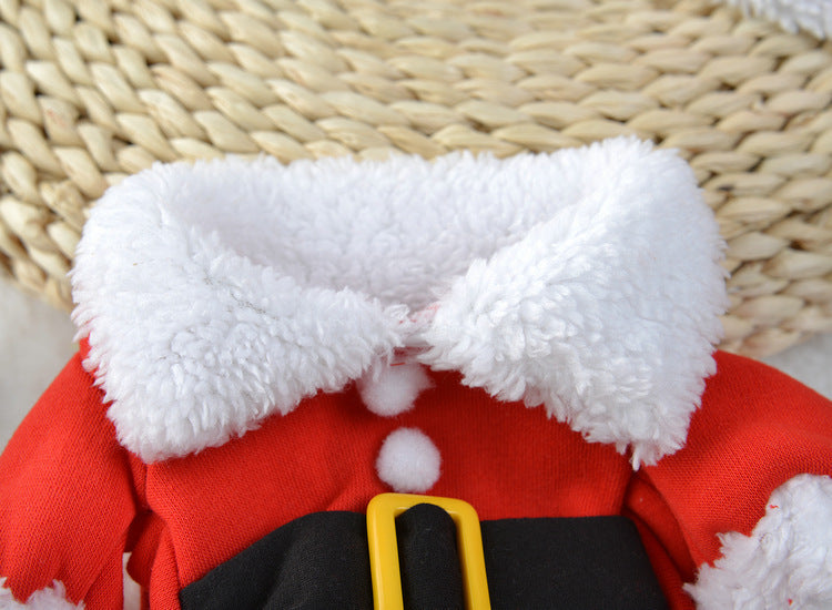 Small dog wearing a red Santa suit with hat