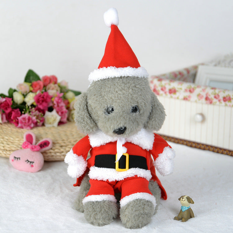 Small dog wearing a red Santa suit with hat