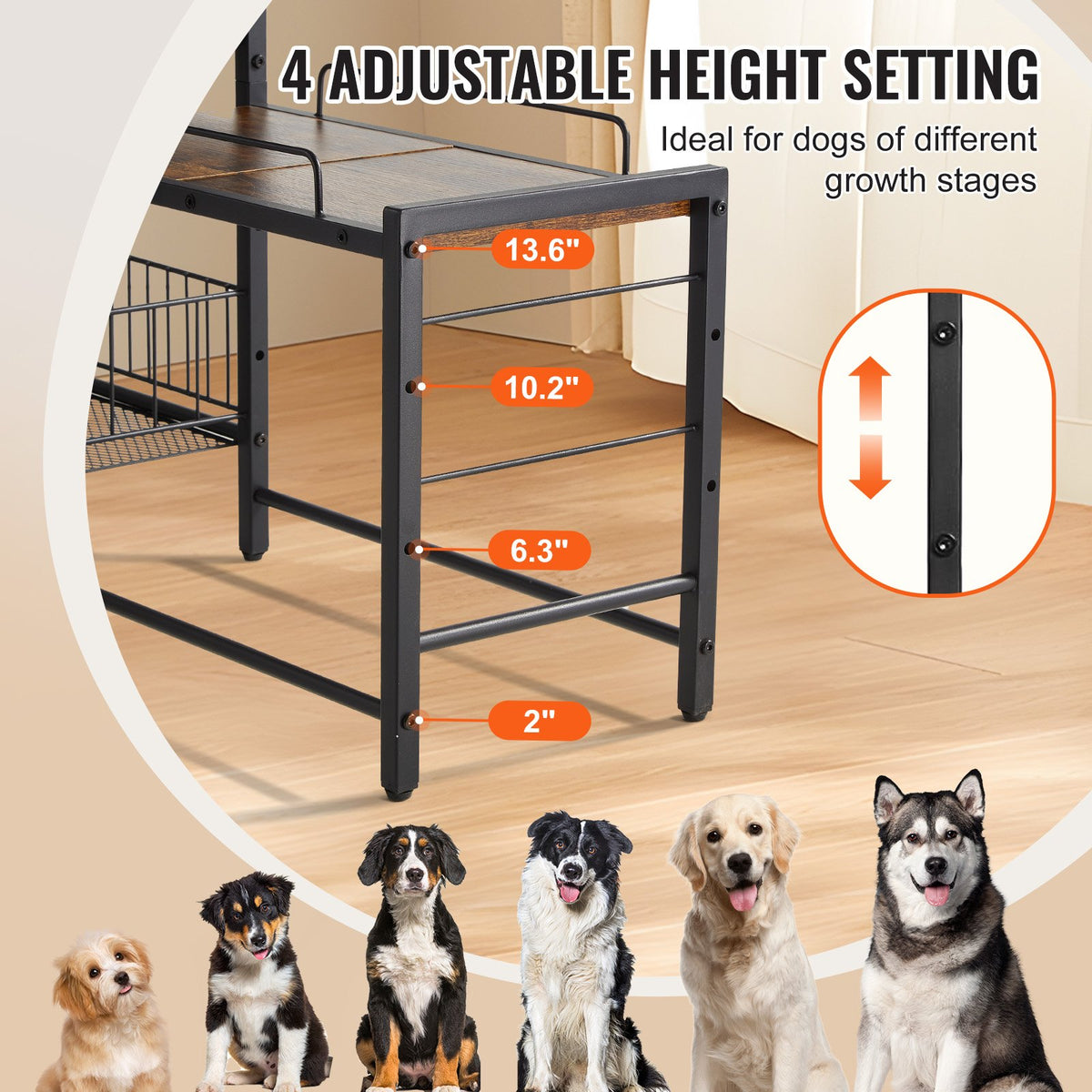 Dog feeding station with raised bowl shelf and storage