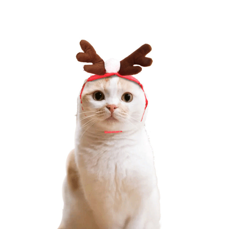 Cat wearing a green Christmas tree cape with pompoms and a star