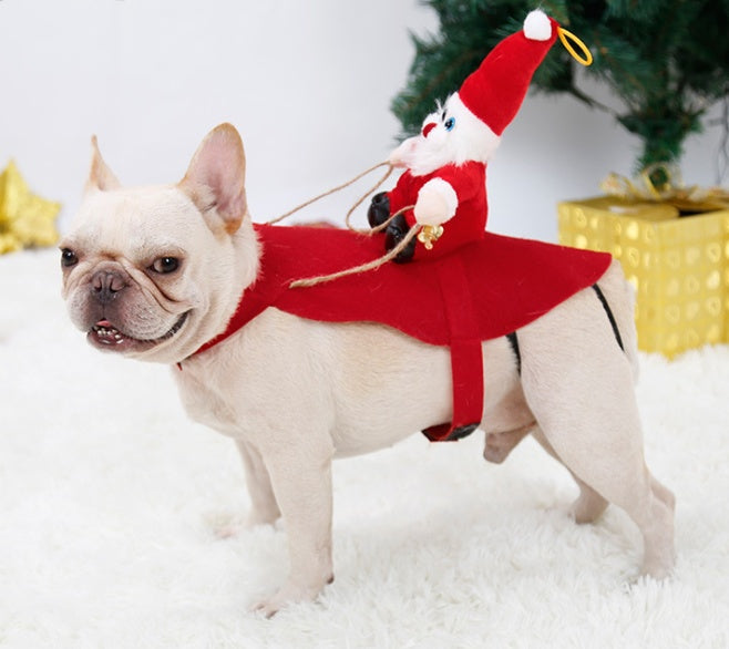 Bulldog wearing a red Santa rider costume with a toy Santa on its back