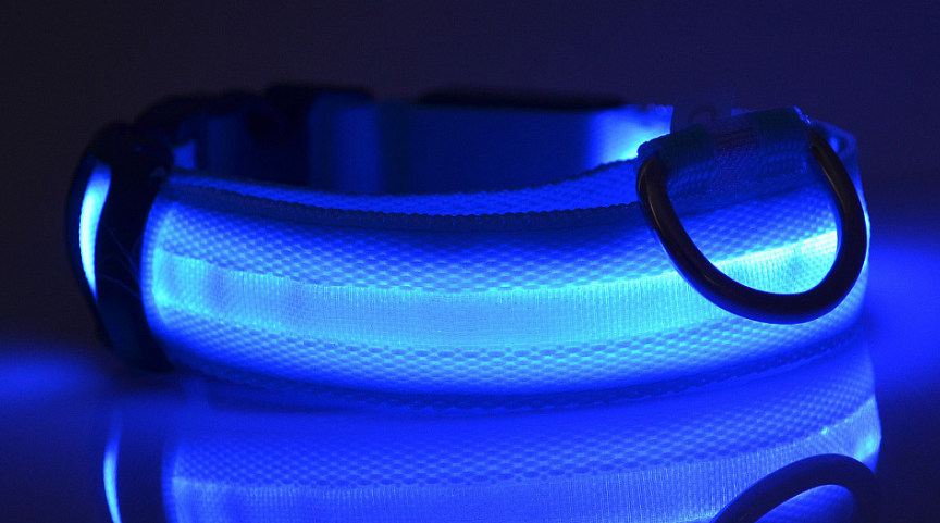 Light-up LED dog collar - photo 7