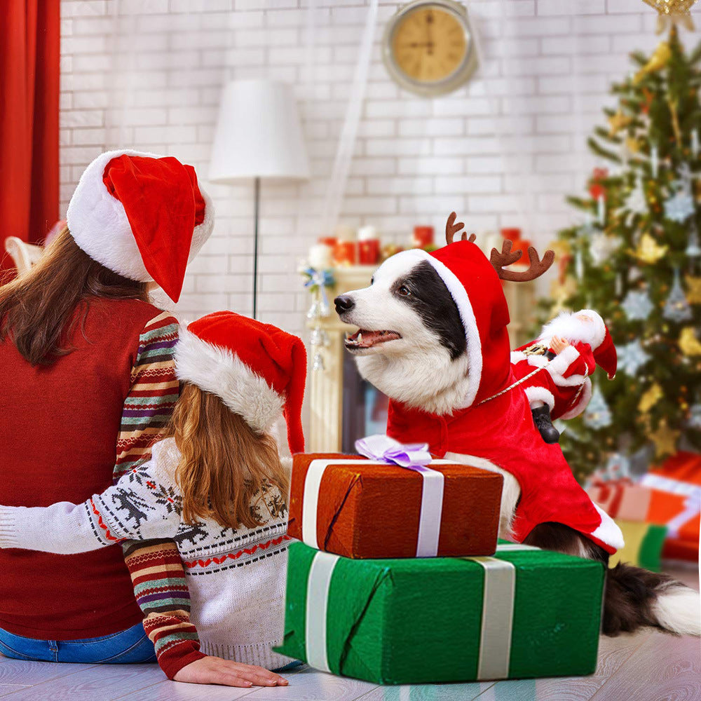 Bulldog wearing a red Santa rider costume with a toy Santa on its back