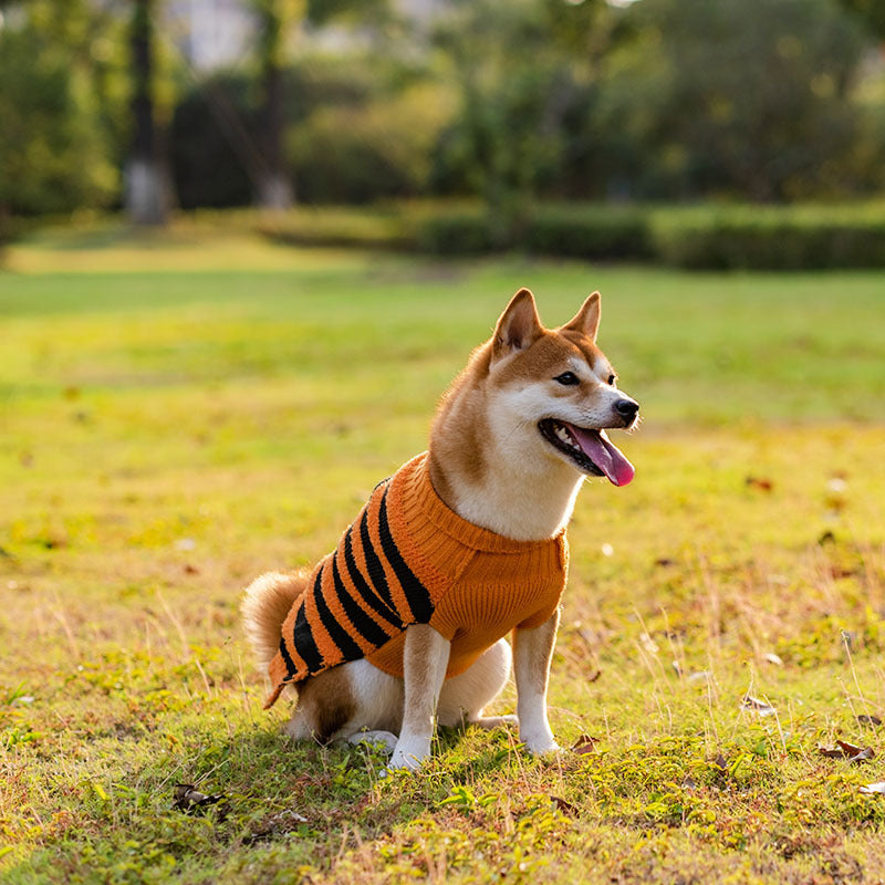 Halloween Dog Jumper, view 7