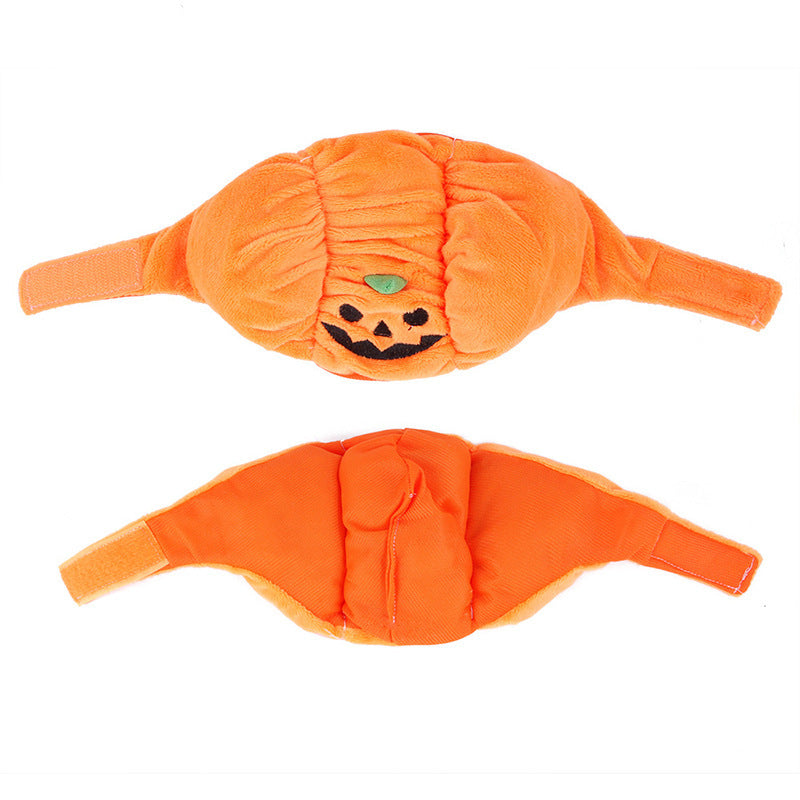 Pumpkin Hat for Dogs, view 4