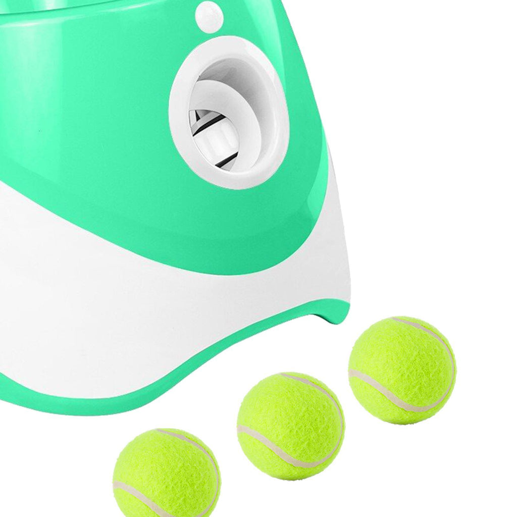 Automatic dog ball launcher for small and medium dogs