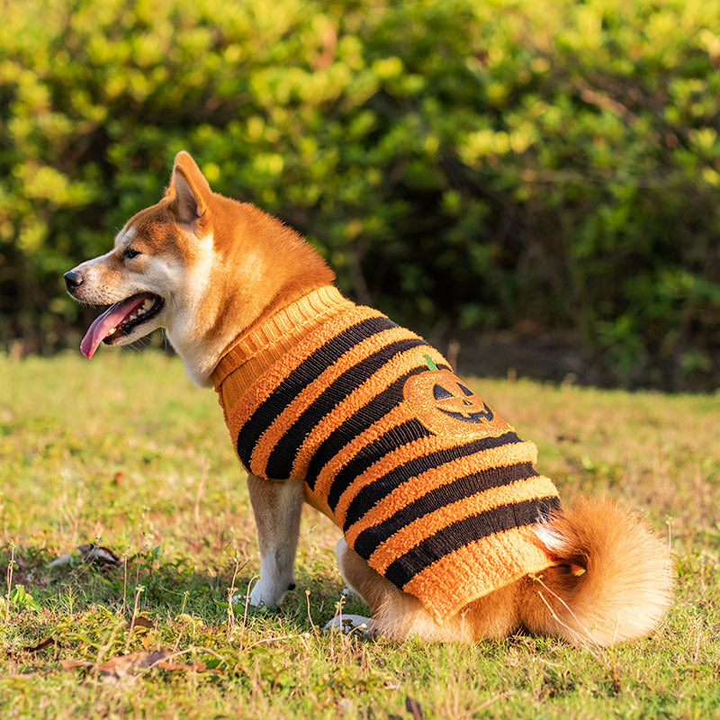Halloween Dog Jumper, view 9