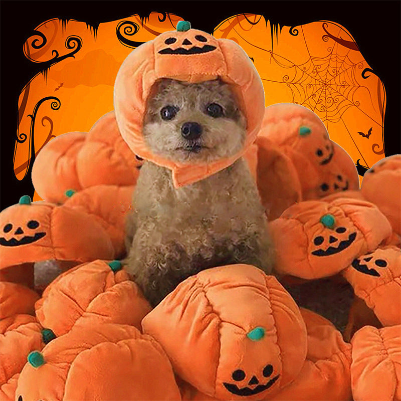Pumpkin Hat for Dogs