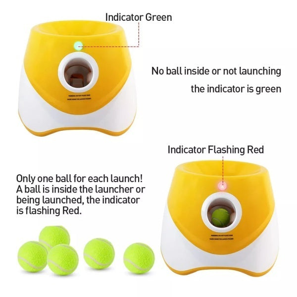 Automatic dog ball launcher for small and medium dogs