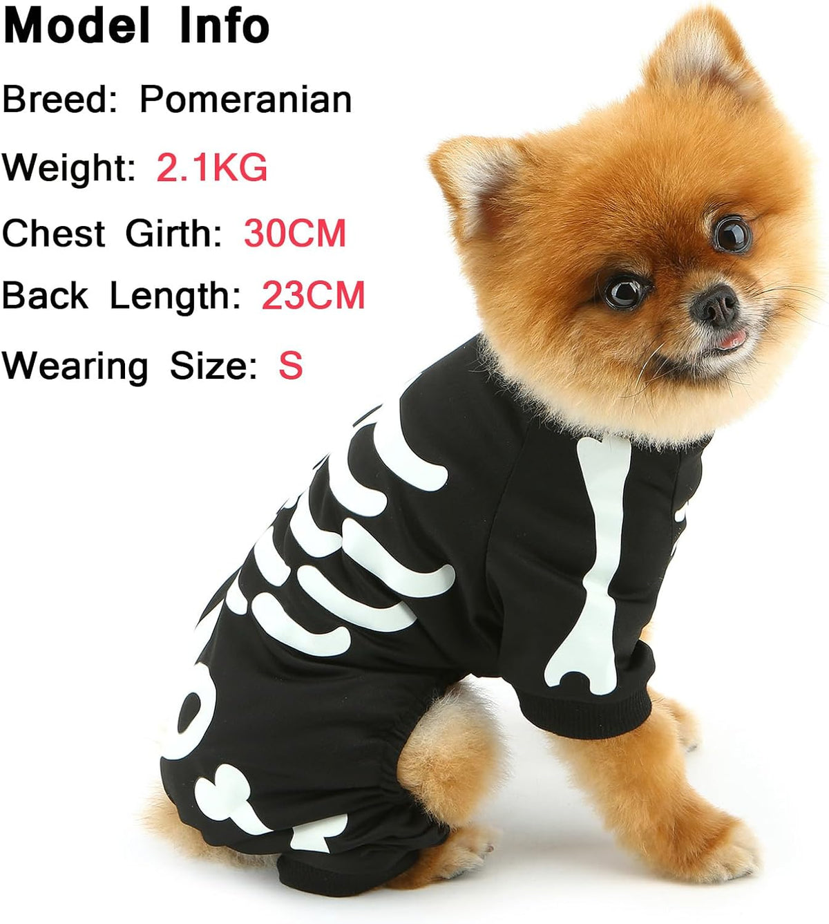 Glow-in-the-Dark Skeleton Jumpsuit for Small Dogs, view 6