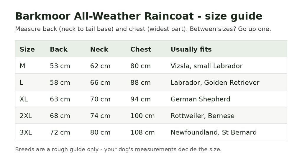 Matching Walk Set: yellow dog raincoat and yellow rain jacket