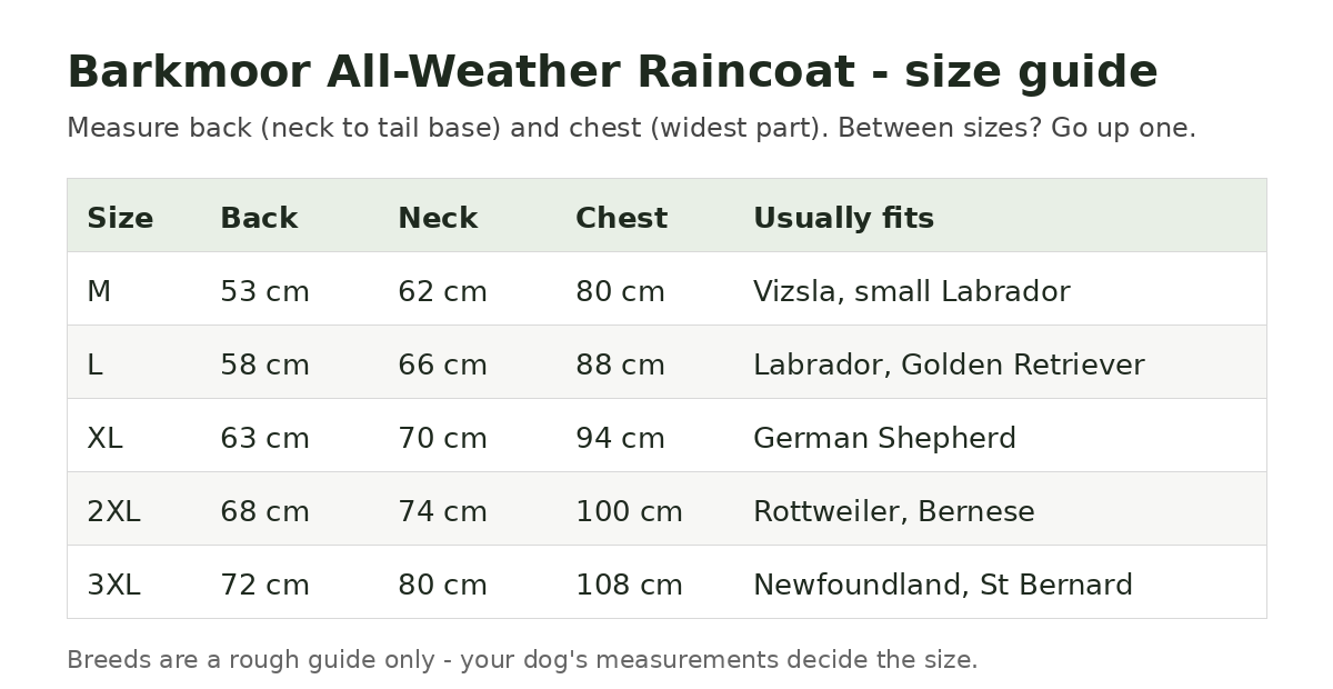 Matching Walk Set: yellow dog raincoat and yellow rain jacket